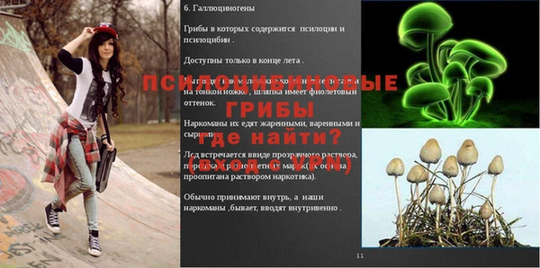 MESCALINE Алзамай