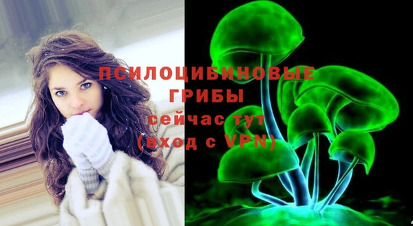 Альфа ПВП Алексин